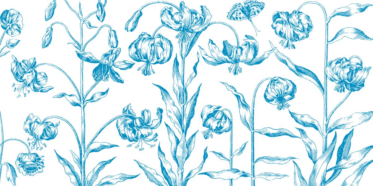 River Ladies Night presented by Thrivent: Ironwood Financial Advisors