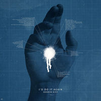 I'd Do It Again - I'd Do It Again